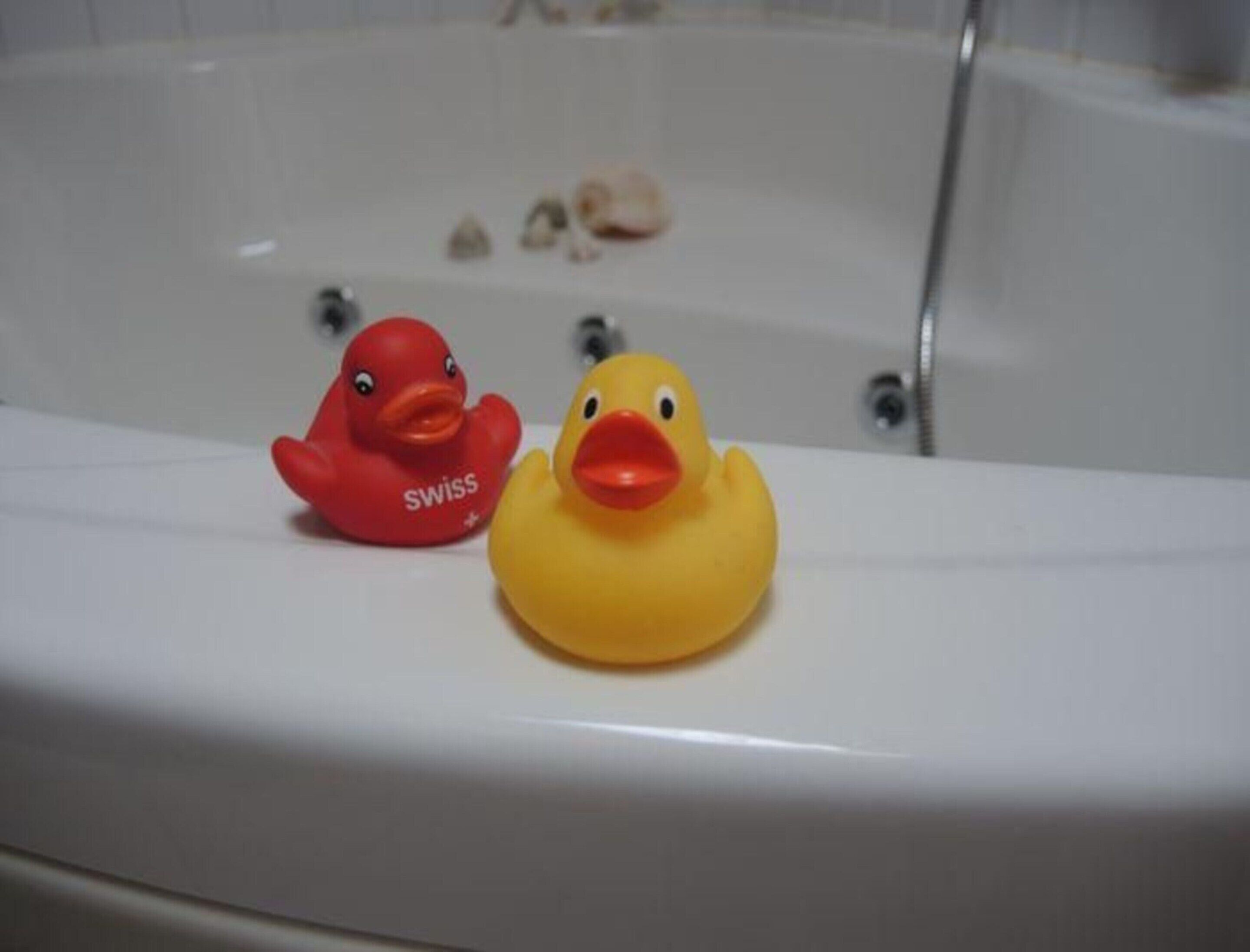 Two rubber ducks on a bathtub edge.