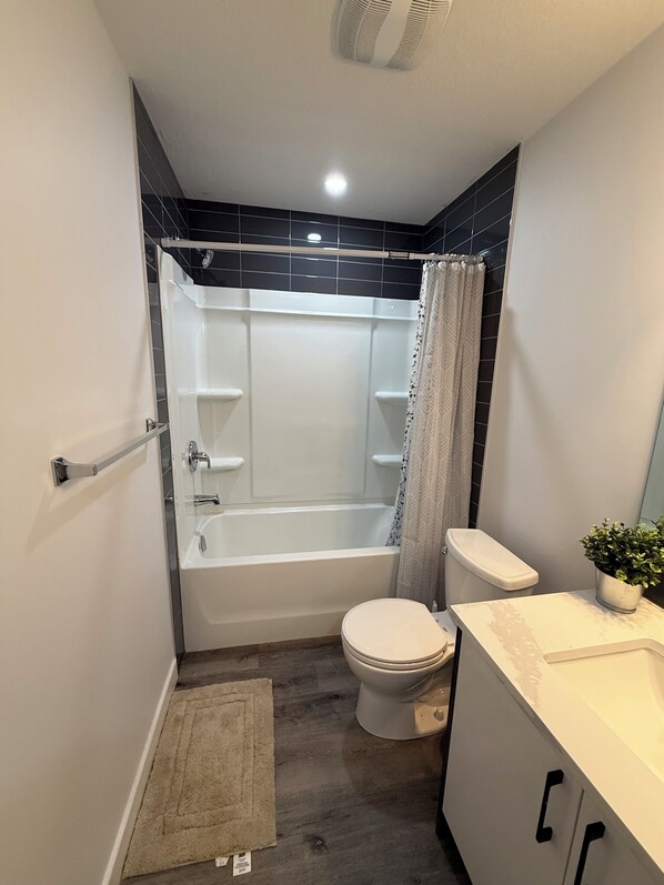 Hair dryer, towels, toilet paper