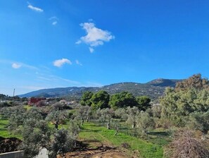 Surrounded by rolling hills and a mountain range, this serene landscape offers a peaceful retreat.