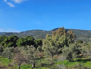 Escape to a serene natural landscape with rolling hills and lush vegetation.