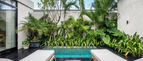 Outdoor pool, sun loungers