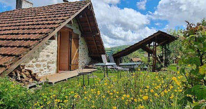 Nature-themed Bed and Breakfast