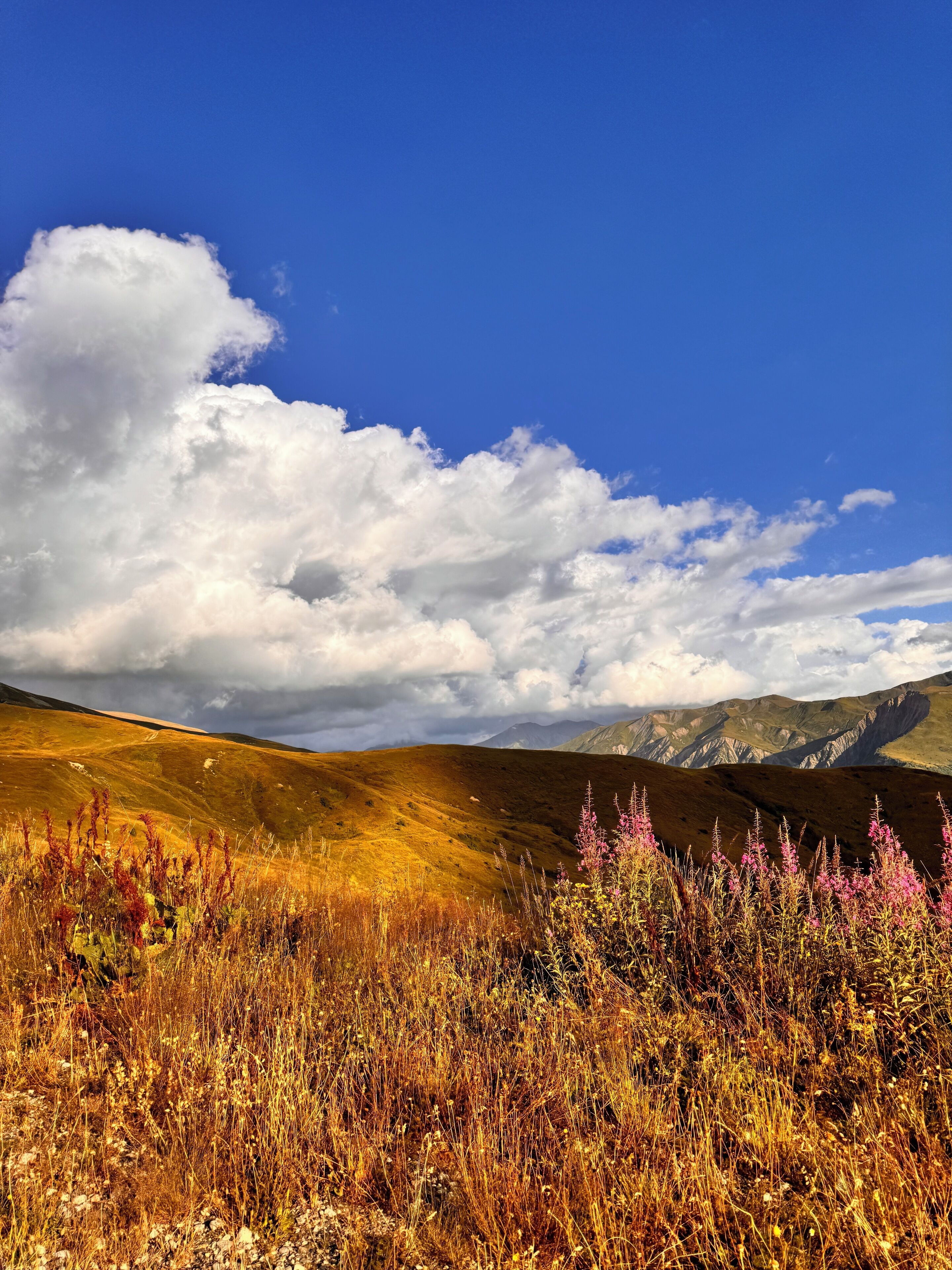 A mountainous landscape with a clear sky and fluffy clouds.