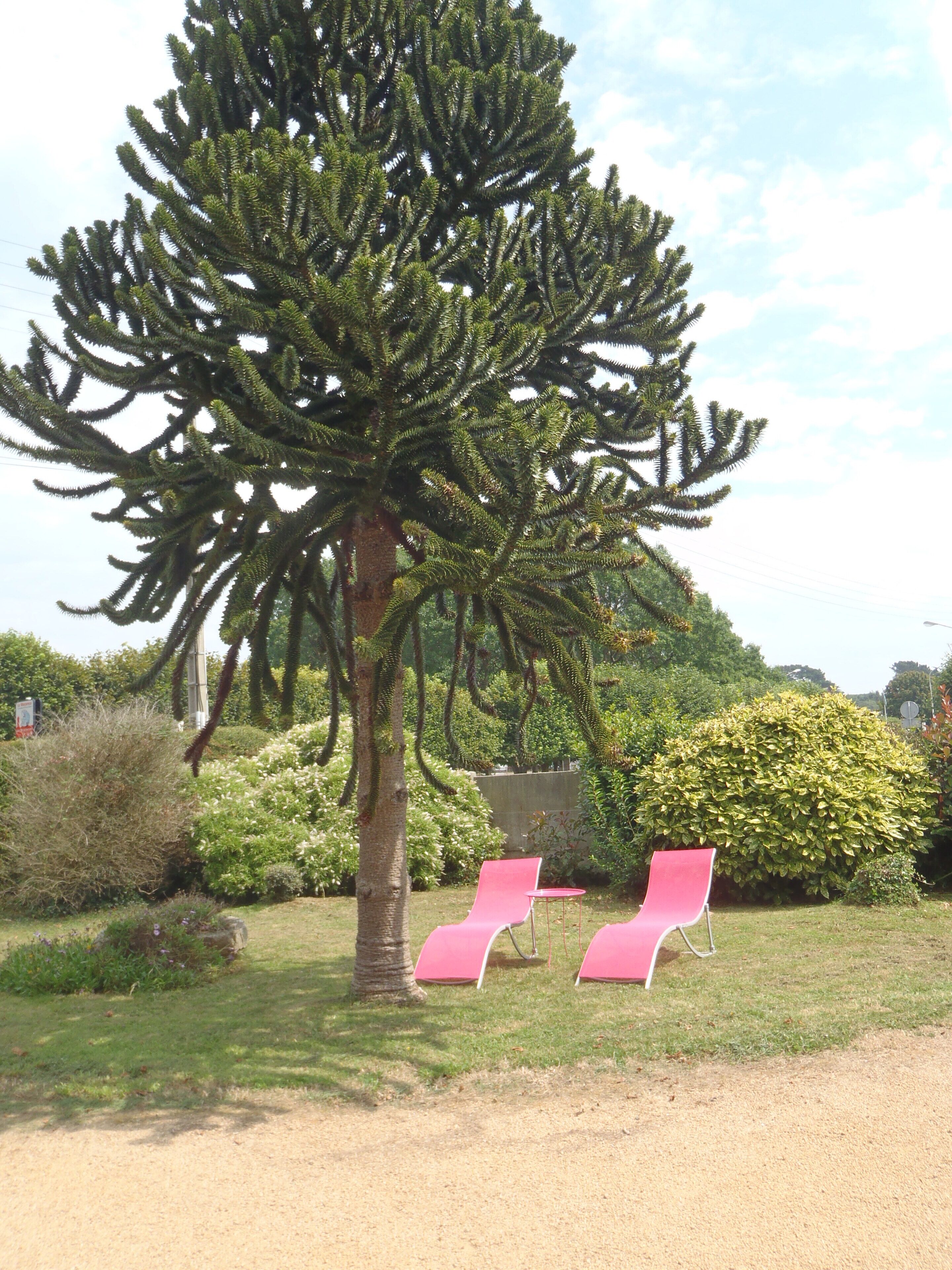 Áreas de la propiedad