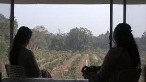 Deux personnes sont assises à une table, devant de grandes fenêtres qui donnent sur un paysage rural.
