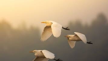 Utsikt från boendet