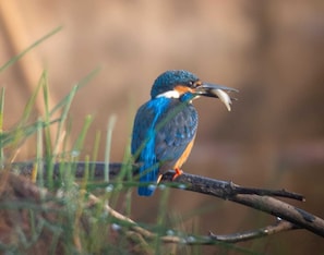 Uitzicht vanuit accommodatie