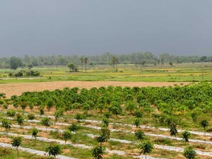 Vistas desde el alojamiento