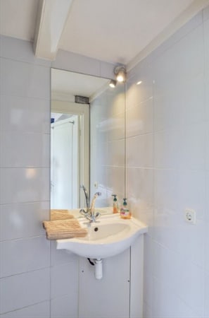 Habitación cuádruple Deluxe | Baño | Ducha, secador de pelo, toallas y jabón