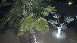 Een palmboom verlicht met lichtjes, omringd door een cirkelvormig grindbed, voor een nachthemel.