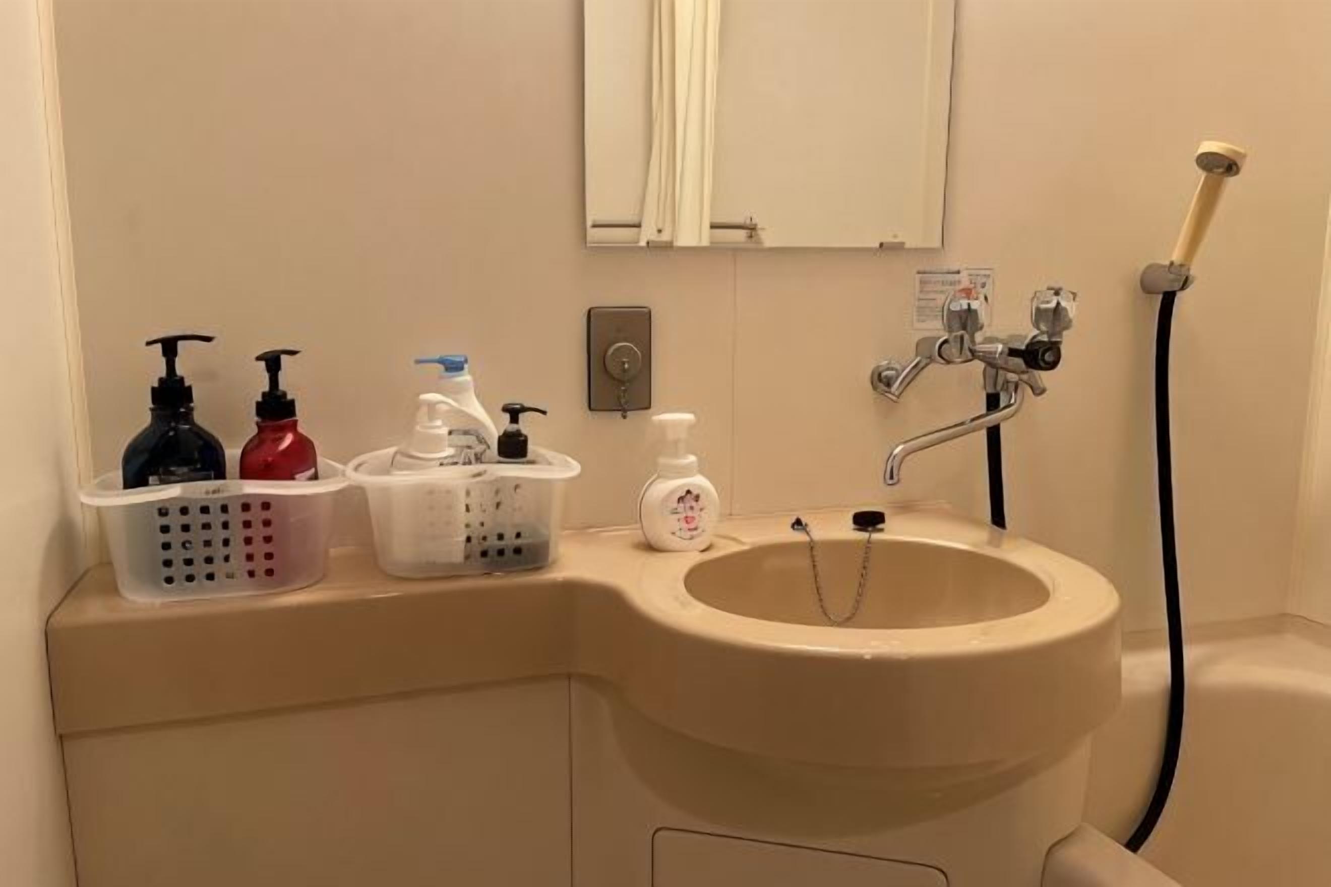A bathroom with a sink, hand soap dispensers, a shower head, and a mirror.