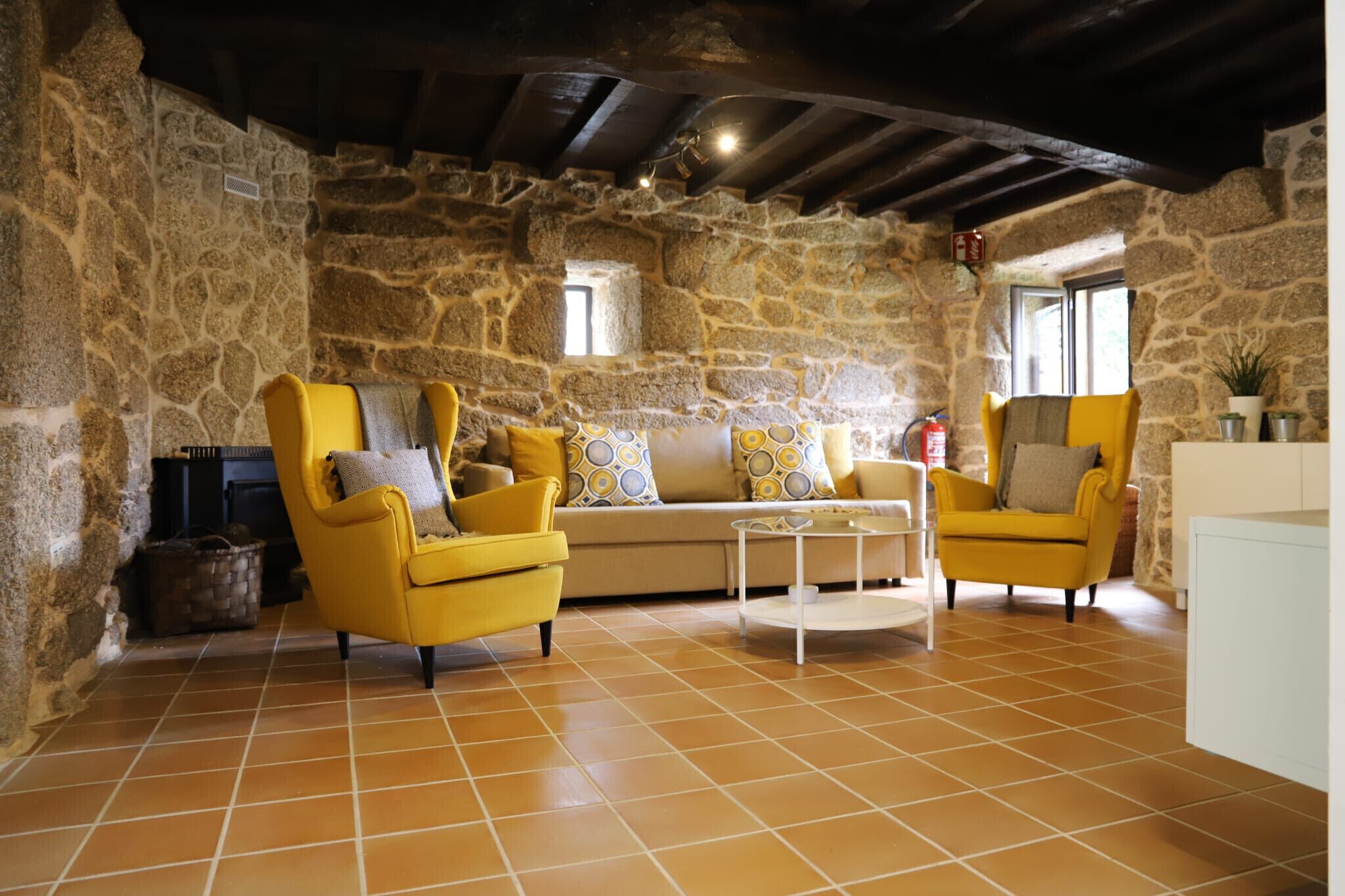 Télévision, cheminée, table de tennis de table