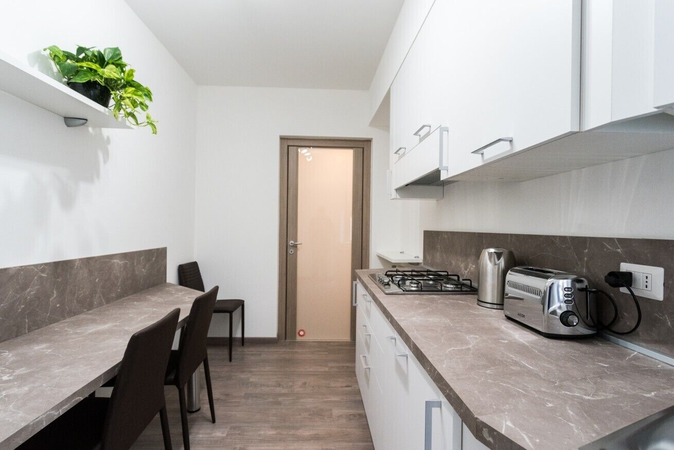 A compact kitchen with a gas stove, toaster, and a small plant on a shelf.