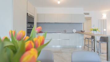 Apartamento (Dream Lake Apartment 1) | Cocina básica privada | Frigorífico, microondas, horno y placa de cocina