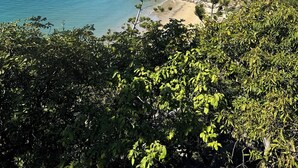 Un paysage côtier comprenant une plage, un terrain rocheux et une végétation luxuriante.