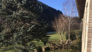 Ein Garten mit gepflastertem Weg, Steinmauern und einer hölzernen Bank.