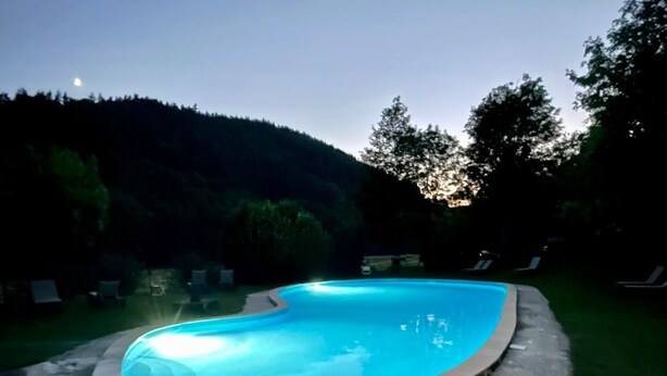 Ein Schwimmbecken mit einer Steinkante, umgeben von einer Rasenfläche und Bäumen.