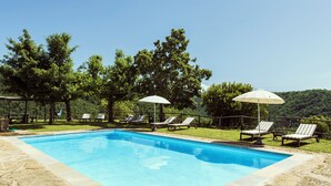 A rectangular swimming pool with a stone border, surrounded by lounge chairs and umbrellas, set in a grassy area with trees in the background. - The Barn apartment in farmhouse with swimming pool surrounded by greenery (Toscana)