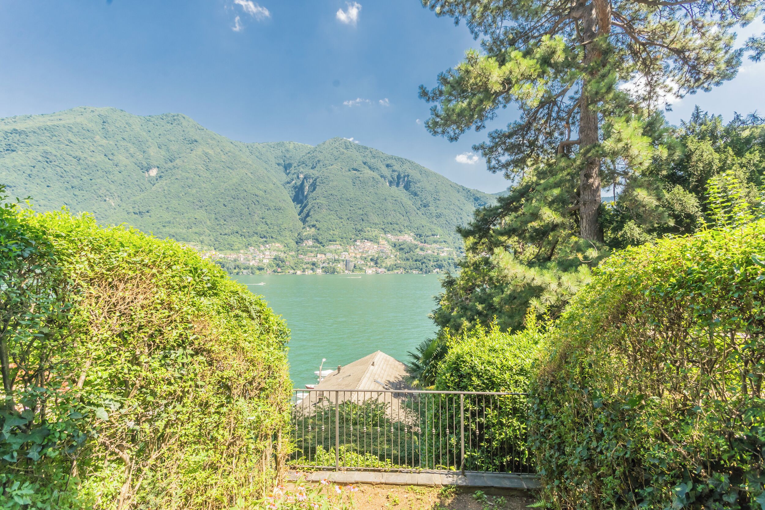 Vista de un lago con montañas al fondo, rodeado de exuberante vegetación.