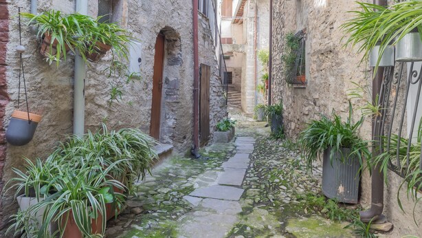 Un estrecho sendero de piedra bordeado por edificios con plantas en macetas y jardines colgantes.