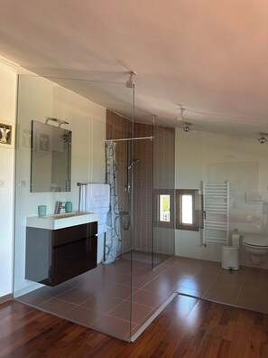Shower, jetted tub, hair dryer, towels
