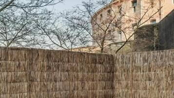 Deluxe Studio, Courtyard View | View from room