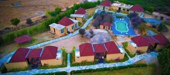 費恩的賈瓦伊鋅之旅