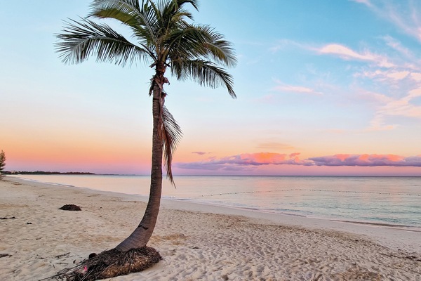 Studio, 1 Bedroom, Patio, Garden View | Beach
