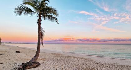 NEW Stunning Beachfront Condo at the Coral Beach