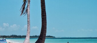 NEW Stunning Beachfront Condo at the Coral Beach