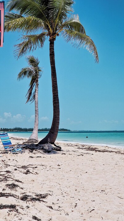 NEW Stunning Beachfront Condo at the Coral Beach