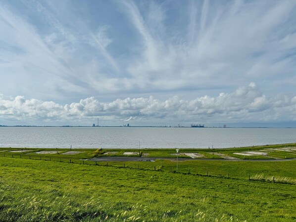 Un champ herbeux avec une étendue d’eau et, au loin, des bâtiments industriels.