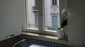A room with a large window, a potted plant, and a radiator.