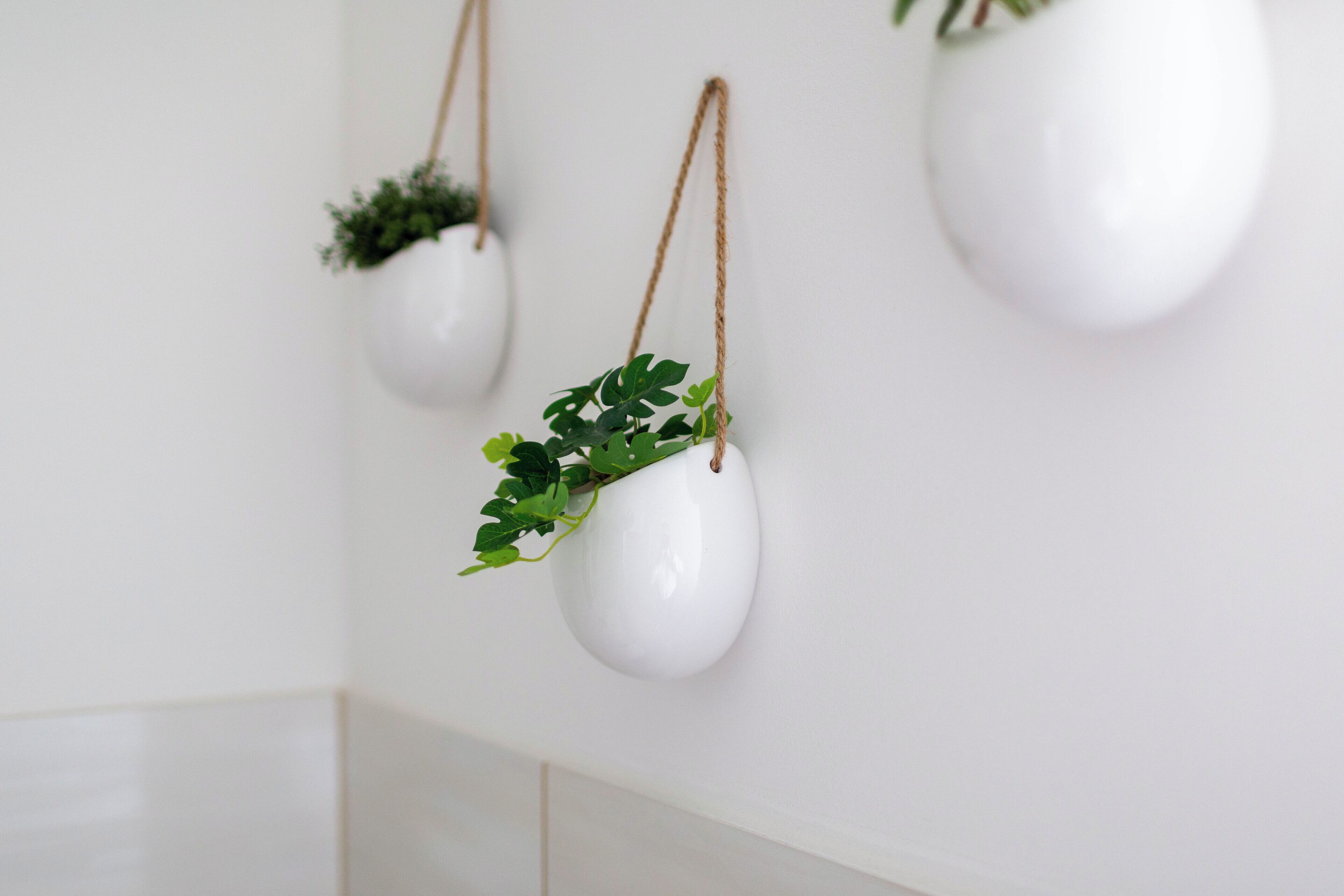 Three white ceramic planters with plants hanging from the ceiling.
