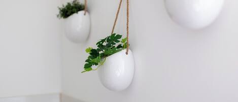 Trois jardinières en céramique blanche, avec des plantes suspendues au plafond.