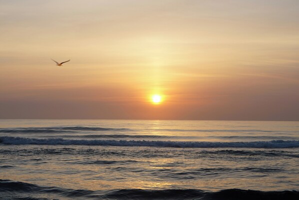 A sunset over the ocean with waves and a bird flying.