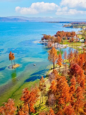 Paisaje costero con aguas cristalinas, una pequeña isla y árboles de colores otoñales.