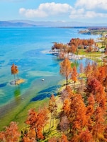 Paisaje costero con aguas cristalinas, una pequeña isla y árboles de colores otoñales.