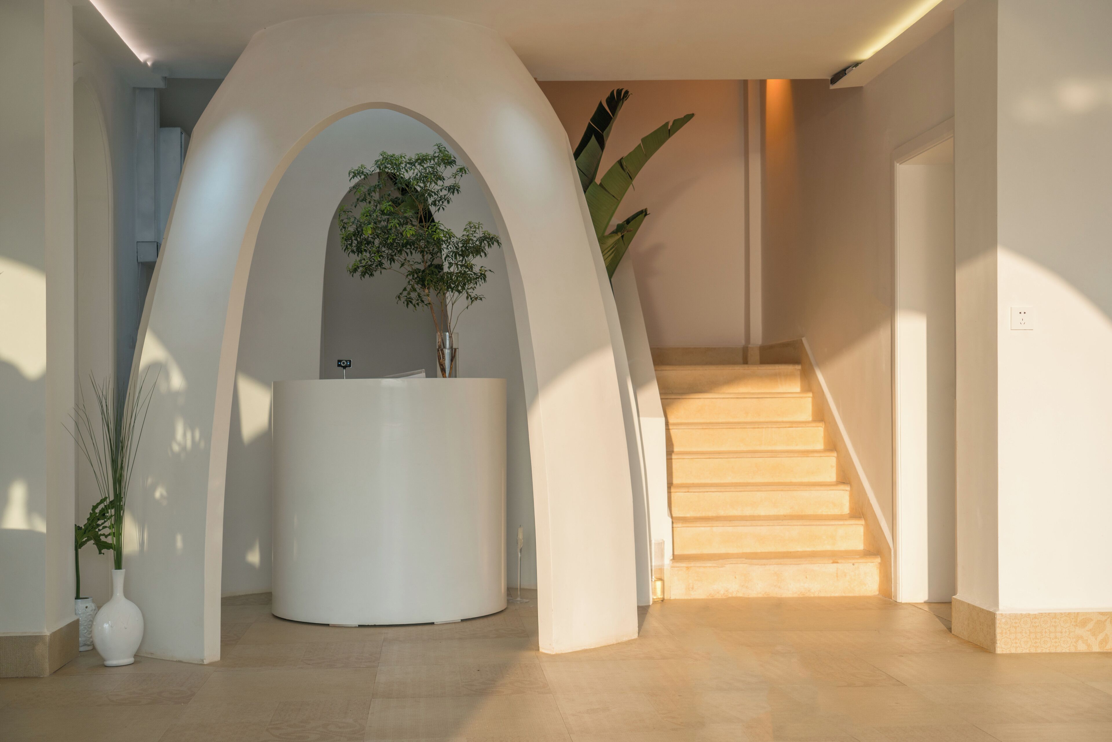 A modern interior with a curved reception desk, a staircase, and a potted plant.