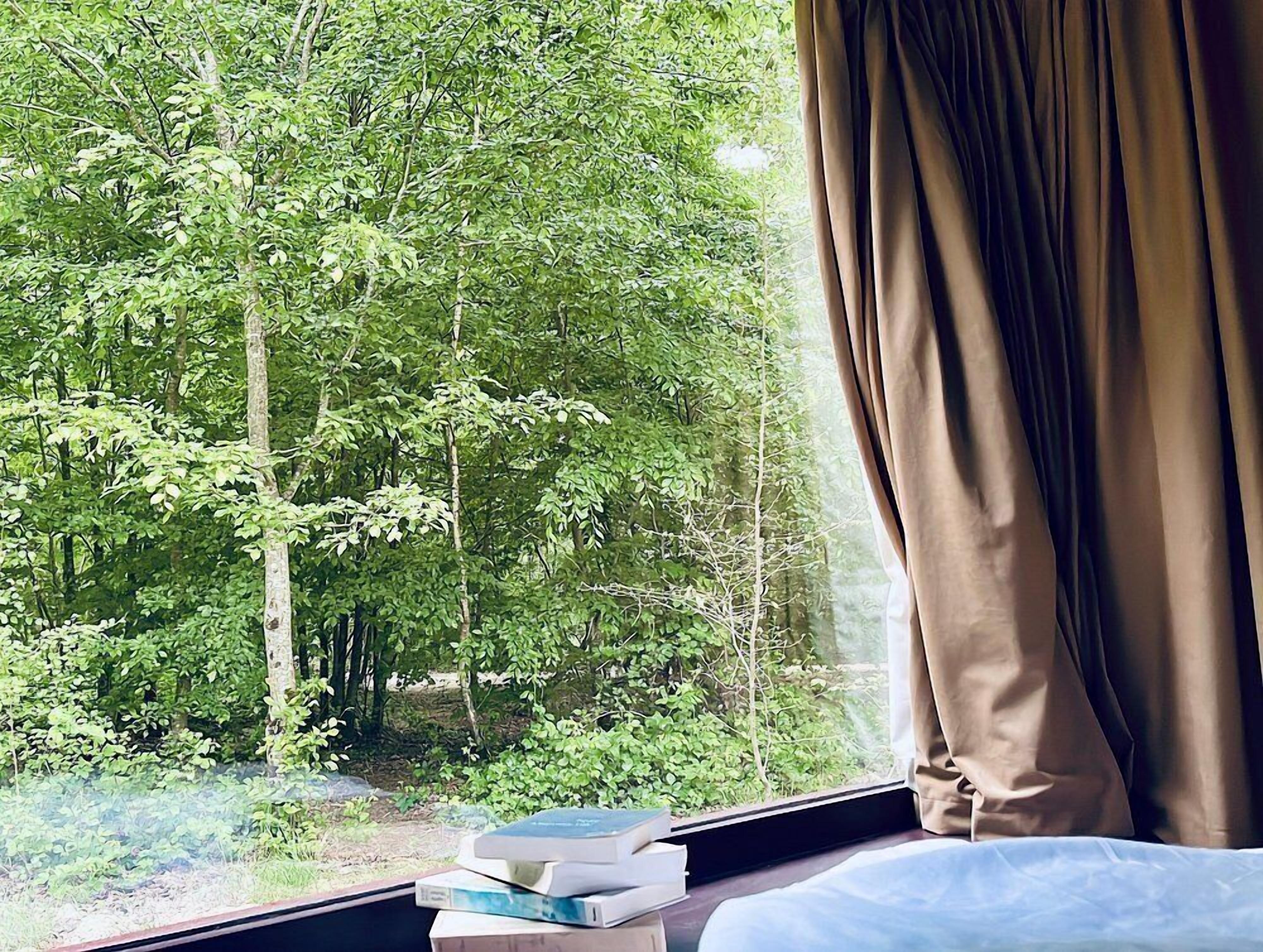 A window with a view of a dense forest, a stack of books on a windowsill, and a curtain partially drawn to the side.