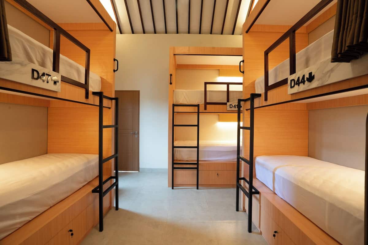Standard Shared Dormitory