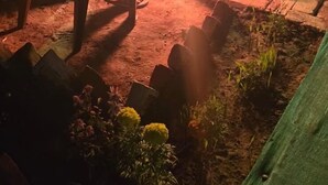 Een terras in de open lucht bij nacht met een vuur, omringd door bakstenen bestrating en begroeiing.