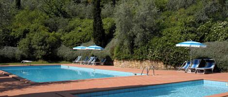 Seasonal outdoor pool, pool umbrellas, sun loungers