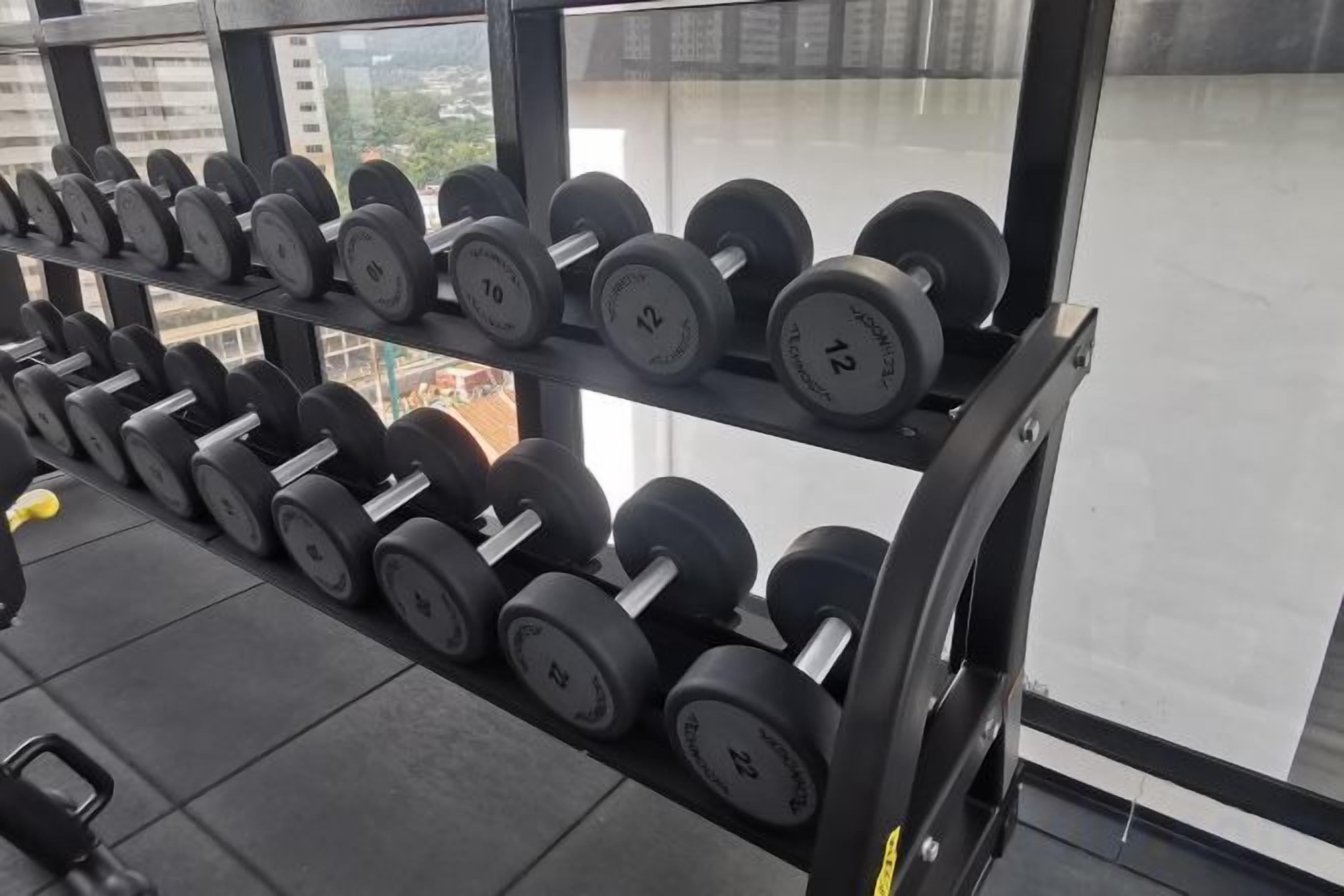 A gym with a rack of dumbbells and a window with a view of buildings.