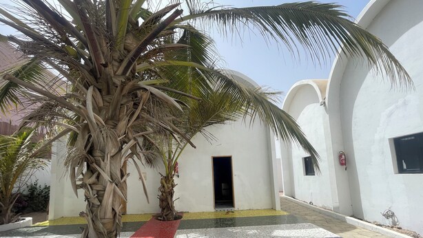 A courtyard with palm trees, a tiled floor, and a white building with a door. - UBANGUI residence. A unique, calm and inspiring setting! Suitable for creation! (Gandon, Saint-Louis)
