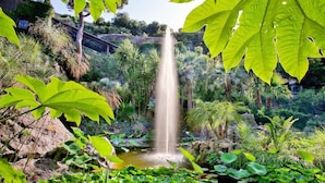 Une cascade dans un jardin luxuriant, avec une végétation variée, et un pont de pierre en arrière-plan.