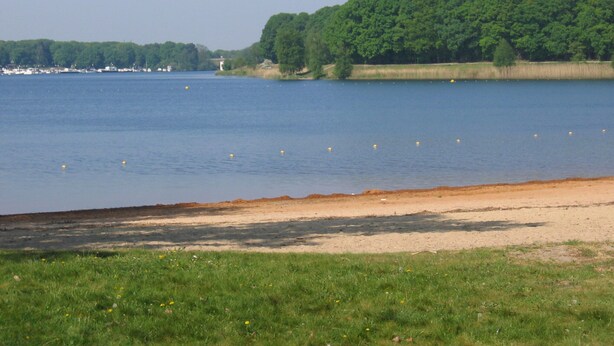 A calm lake with a sandy beach and a forested area in the background. - Holiday Home in Plasmolen Near Nature Reserves (Plasmolen)