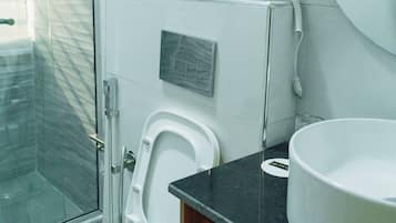 A modern bathroom with a glass shower enclosure, a toilet, a sink, and a mirror.
