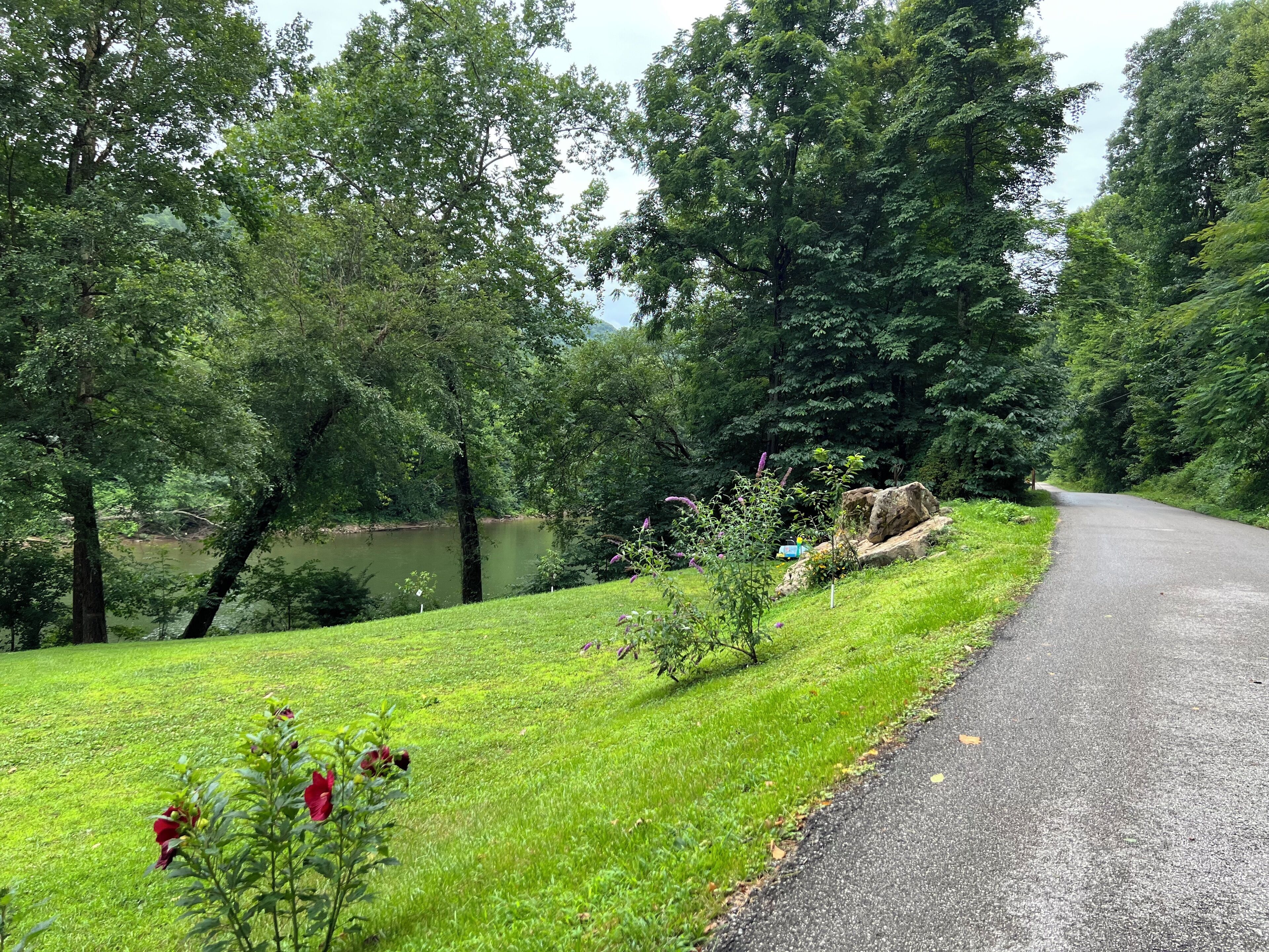 Terrain de l’hébergement 
