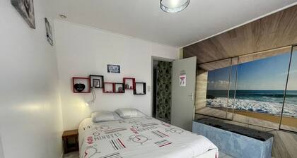 Charmant gßte à Saint-André-Goule-d'Oie proche Puy du Fou